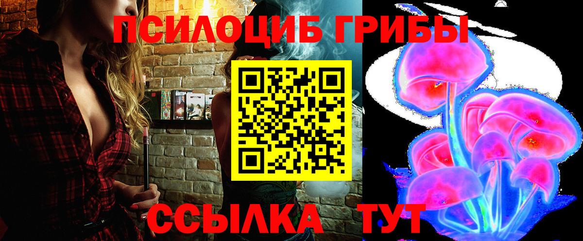 Галлюциногенные грибы Psilocybe  Псилоцибиновые грибы GOLDEN TEACHER  Вход с VPN  Хасавюрт 